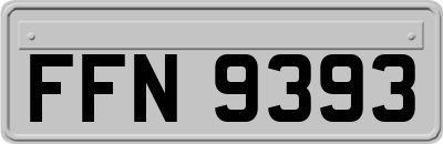 FFN9393
