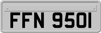 FFN9501
