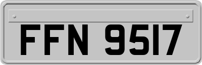 FFN9517