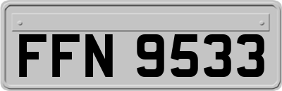 FFN9533