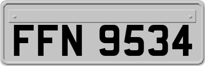 FFN9534