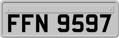 FFN9597