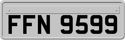 FFN9599