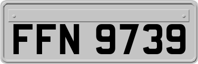 FFN9739