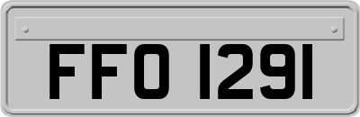 FFO1291