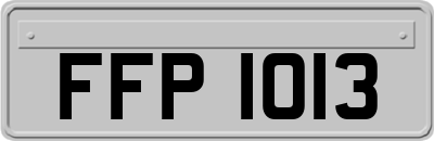 FFP1013