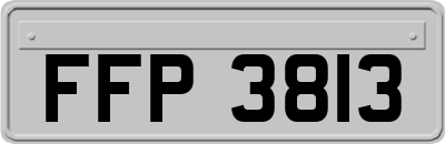 FFP3813