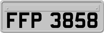 FFP3858