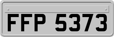 FFP5373