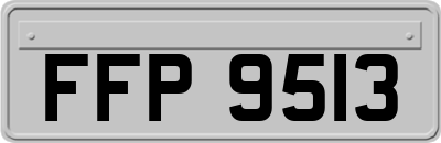FFP9513
