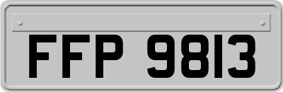 FFP9813
