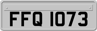 FFQ1073