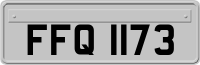 FFQ1173