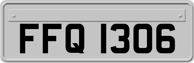 FFQ1306