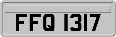 FFQ1317