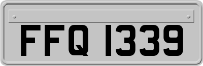 FFQ1339