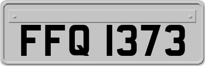 FFQ1373