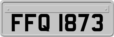 FFQ1873