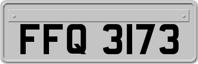 FFQ3173