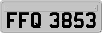 FFQ3853