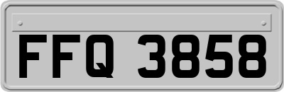 FFQ3858