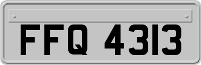 FFQ4313