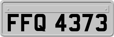 FFQ4373
