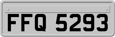 FFQ5293