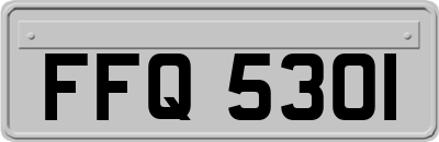 FFQ5301