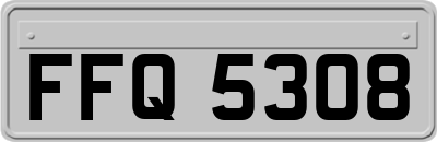 FFQ5308
