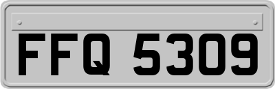 FFQ5309