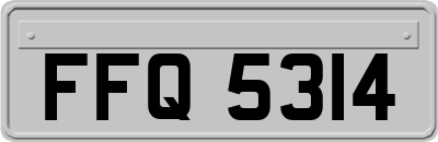 FFQ5314