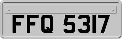FFQ5317