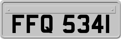 FFQ5341