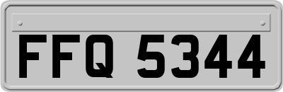 FFQ5344