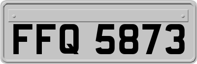 FFQ5873