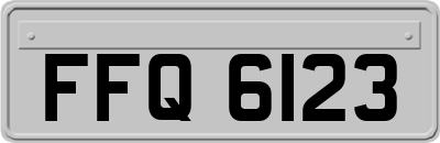 FFQ6123
