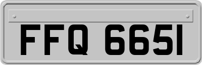 FFQ6651