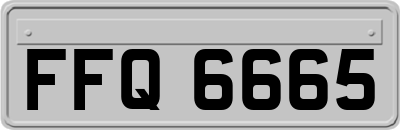 FFQ6665
