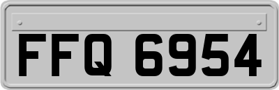 FFQ6954