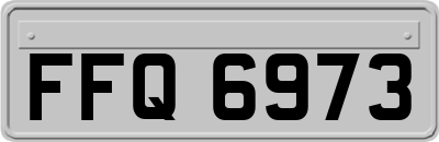 FFQ6973