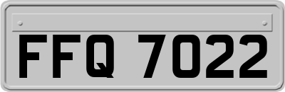 FFQ7022