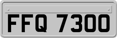 FFQ7300