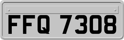 FFQ7308