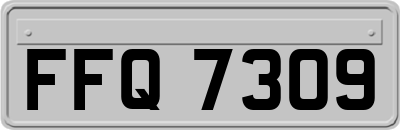 FFQ7309