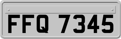 FFQ7345