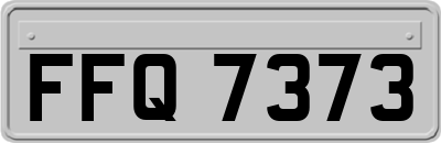 FFQ7373