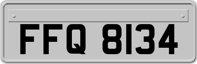 FFQ8134