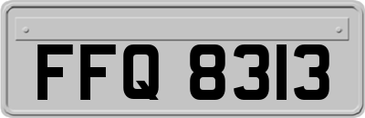FFQ8313