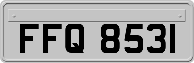FFQ8531
